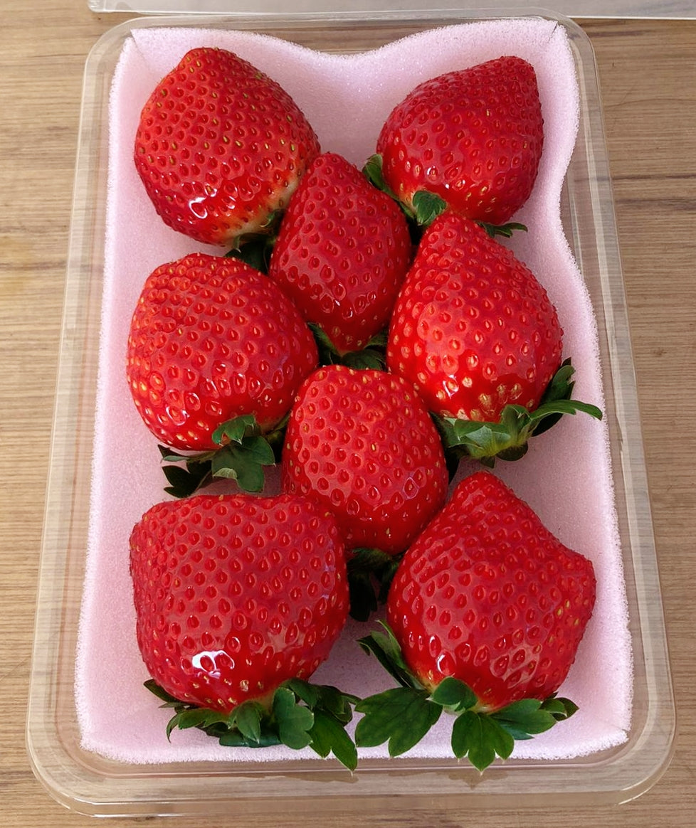 Premium Tochi-Aika Ichigo (Strawberries)