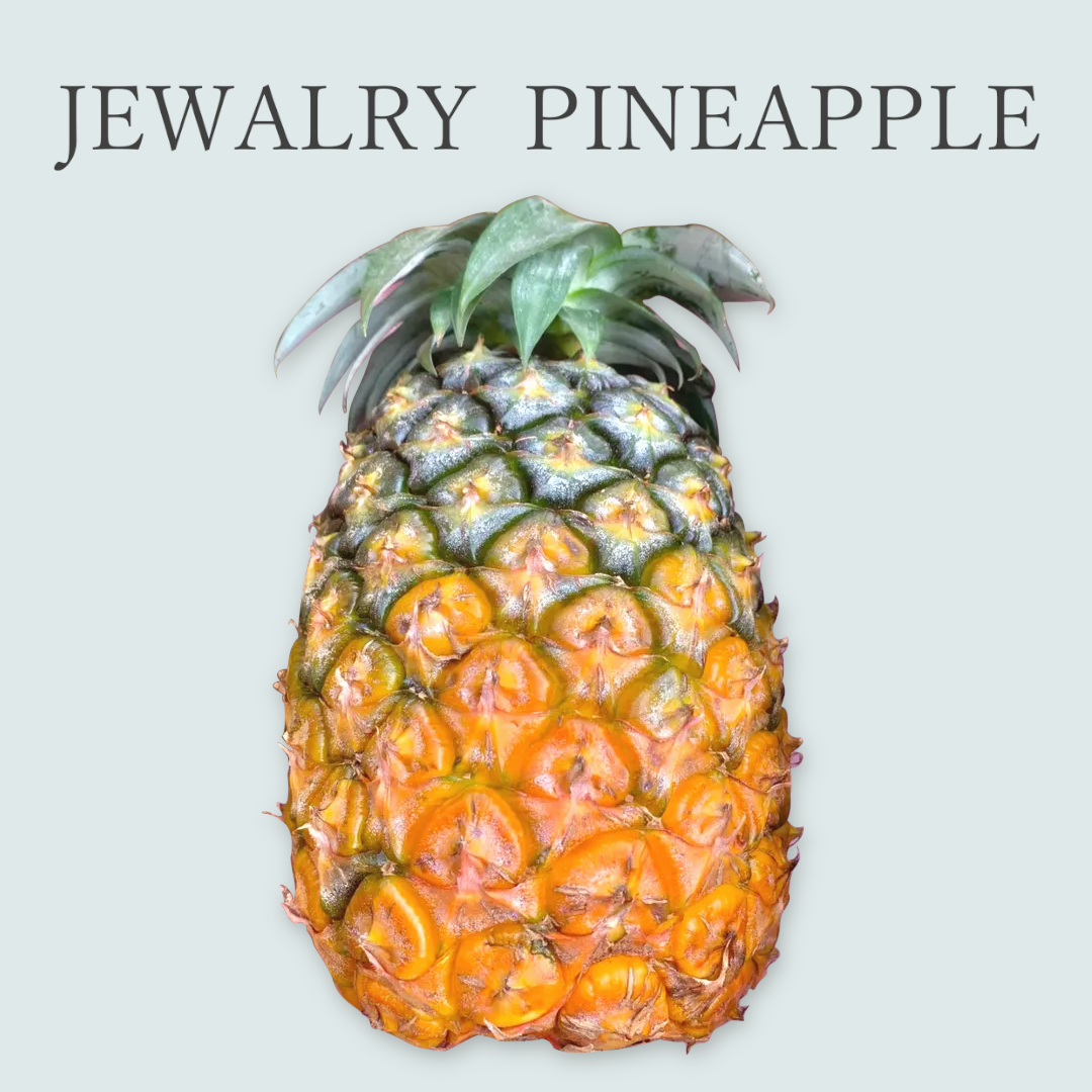 Jewery Pineapple