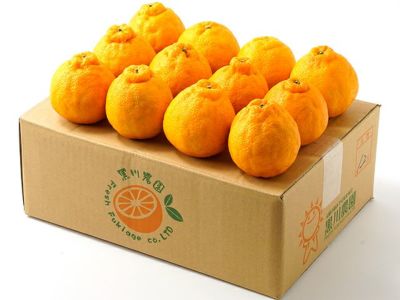 Satsuma Shiranui / Dekopon