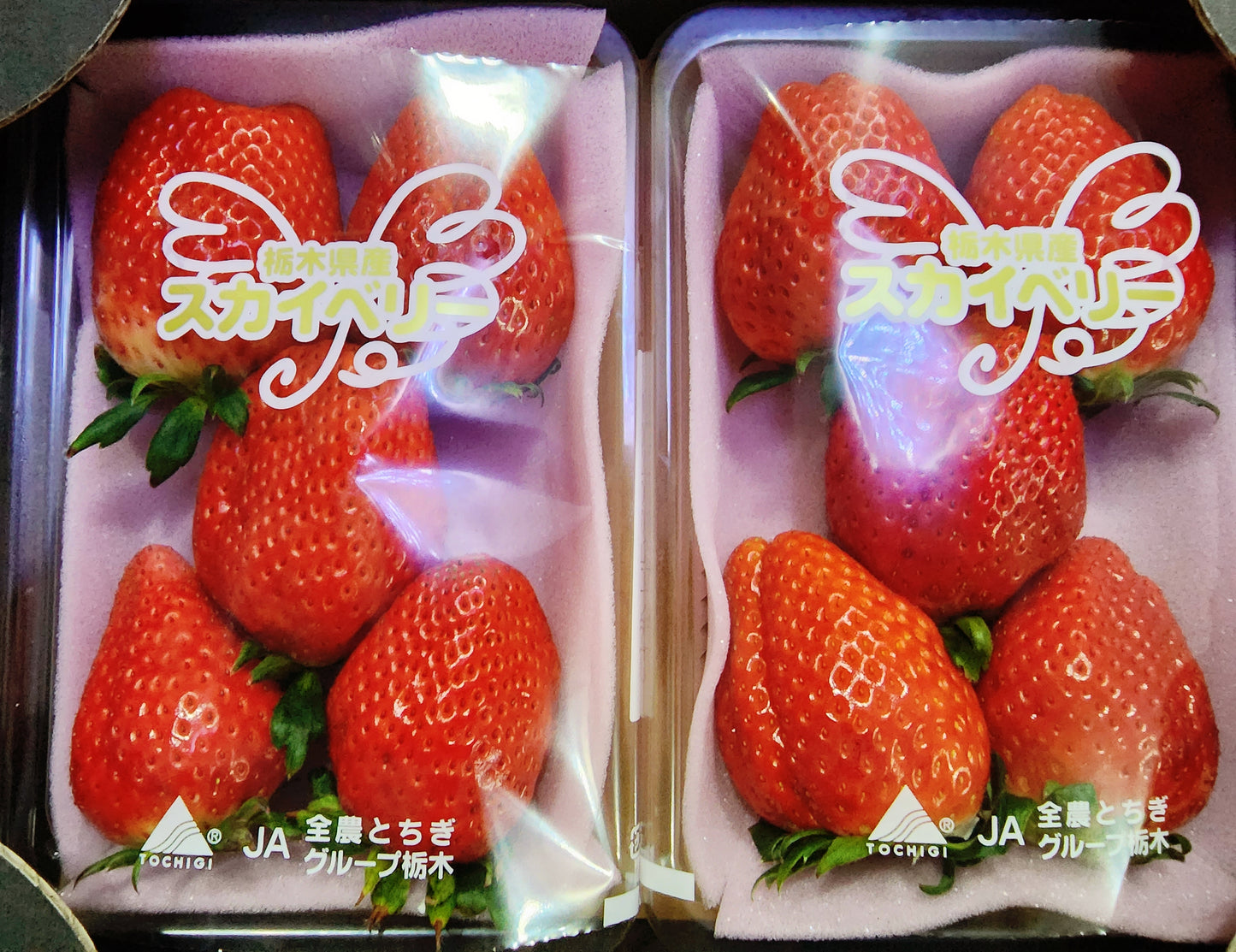 Skyberry Ichigo (Strawberries)