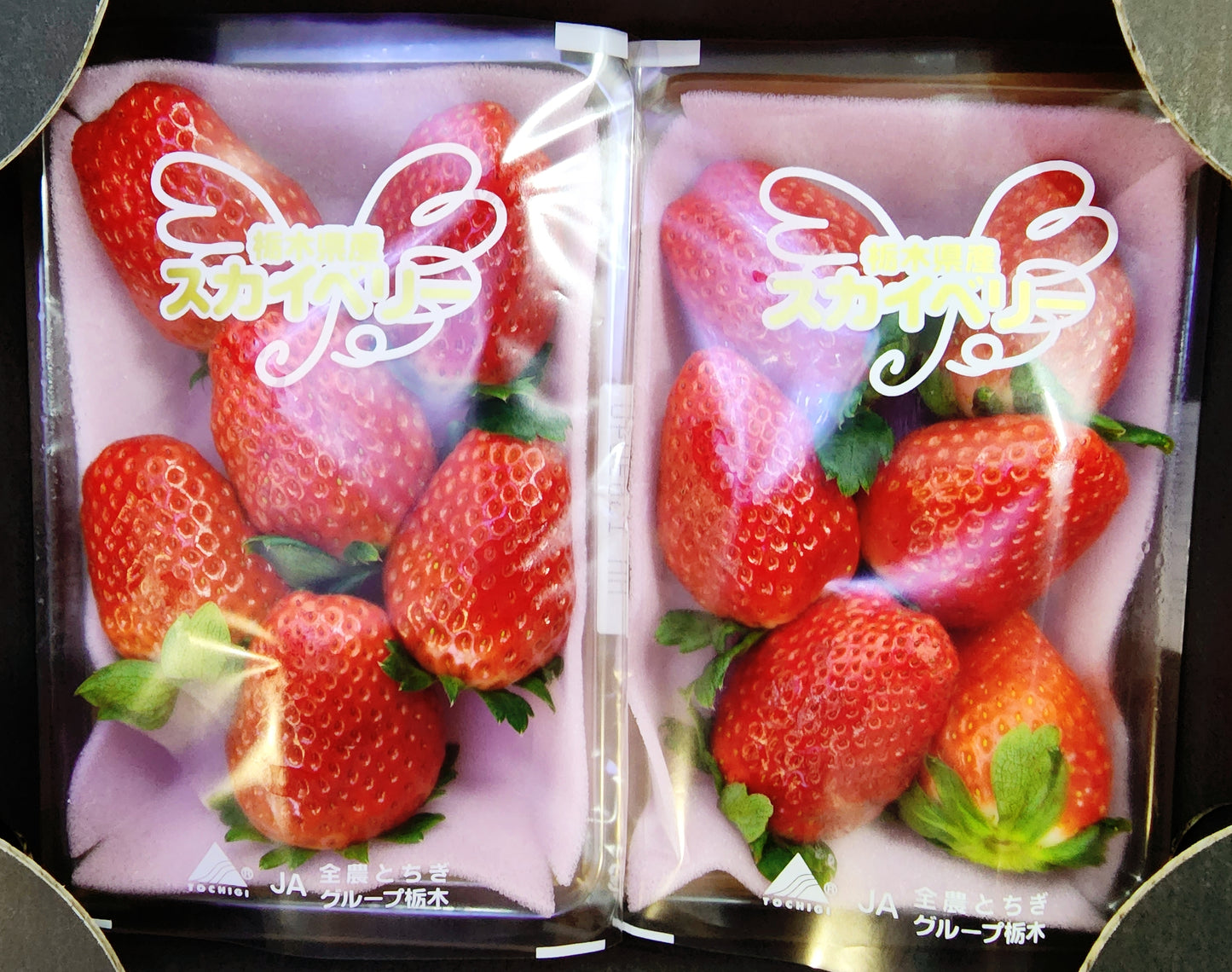 Skyberry Ichigo (Strawberries)