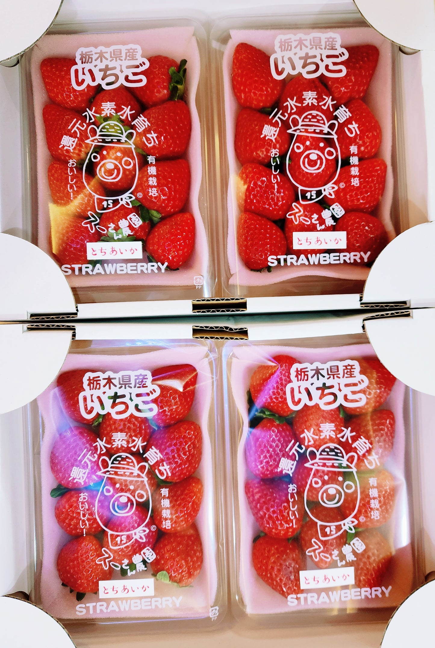 Premium Tochi-Aika Ichigo (Strawberries)