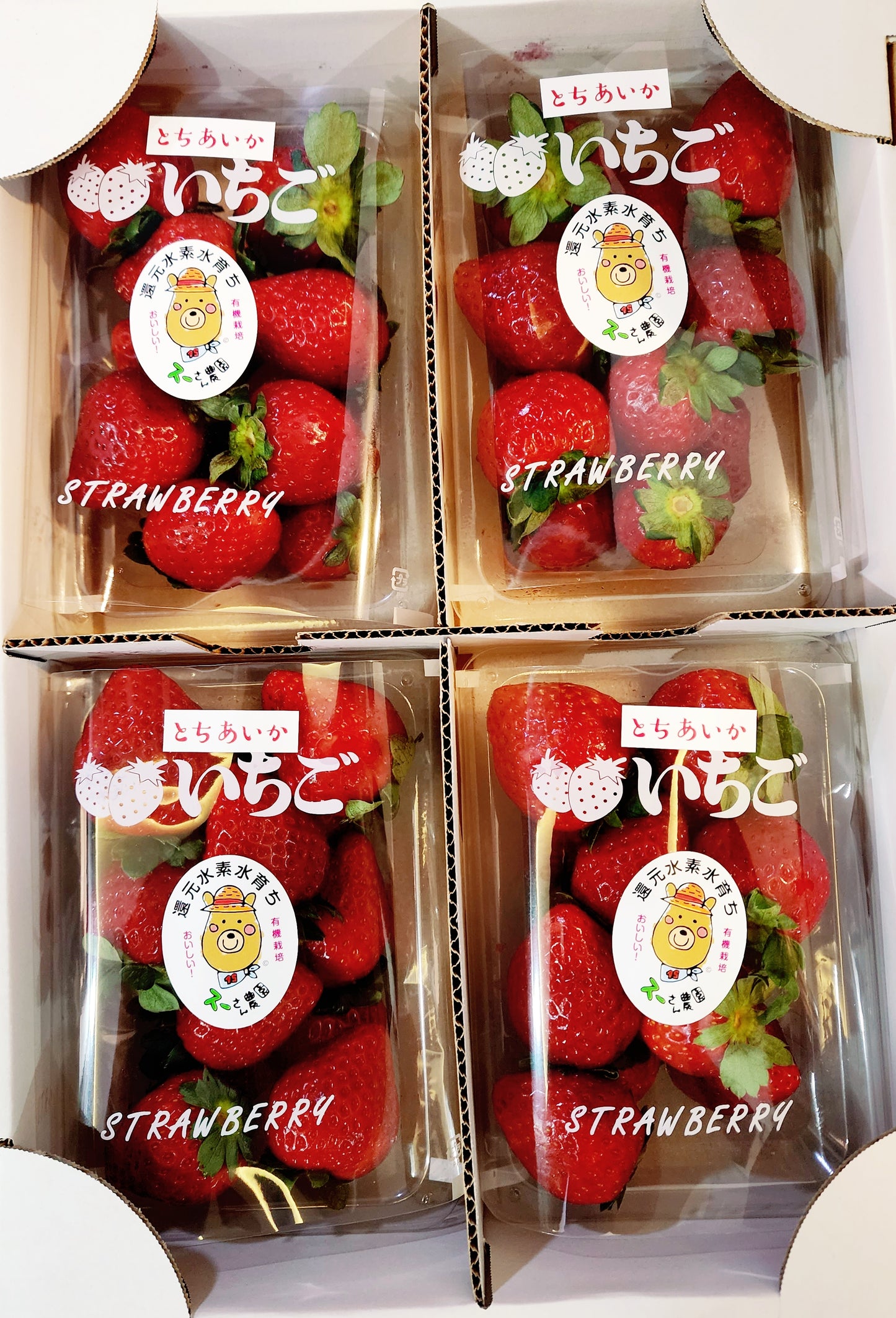 Premium Tochi-Aika Ichigo (Strawberries)