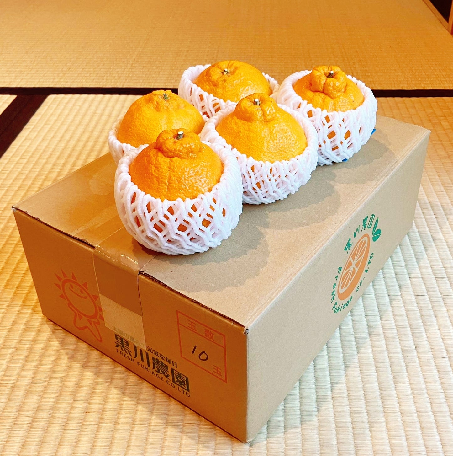 Satsuma Shiranui / Dekopon