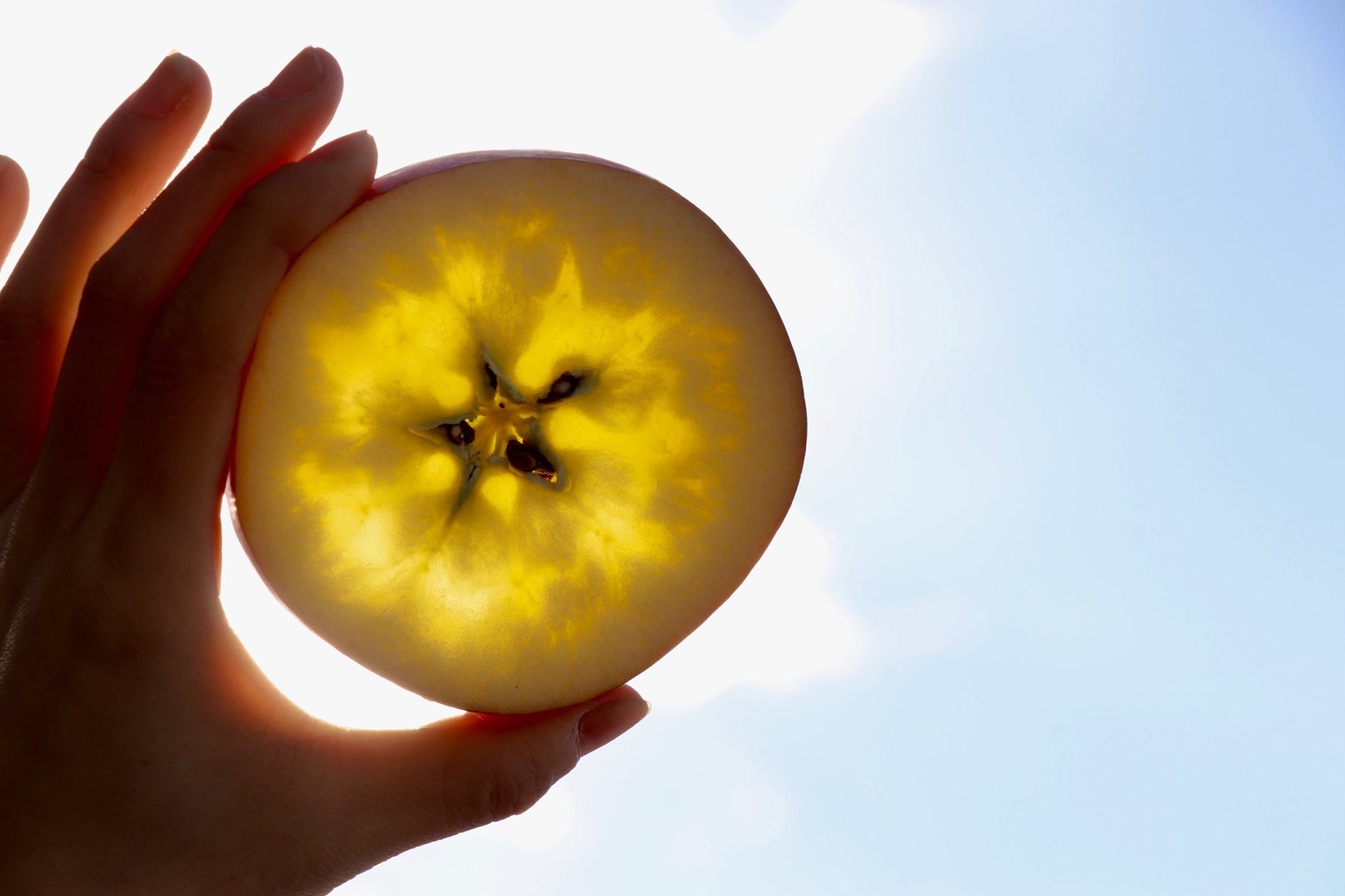 Apples- Fuji — Sun Orchard Apples