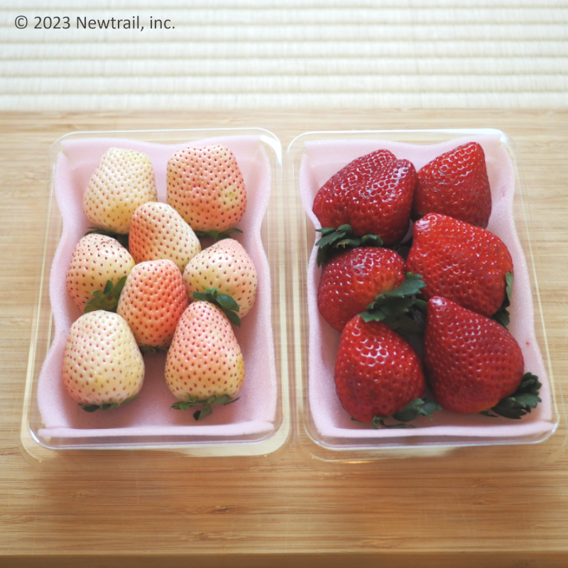 White + Red Strawberry Combo (Milkyberry  & Tochi Aika)